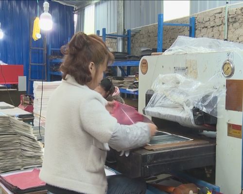 新聞特寫 小山村里的皮革廠,定下年銷售額破億元的 大目標(biāo)