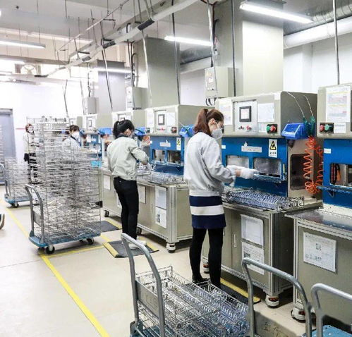 乘風破浪 創(chuàng)造卓越 2020 eoma精英代理商論壇圓滿落幕